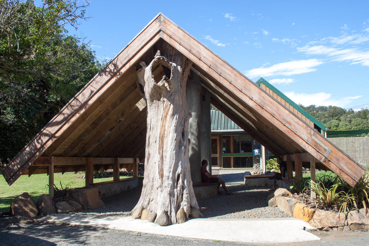 The best places to visit in New Zealand, Northland Waipoua Forest, visitor centre