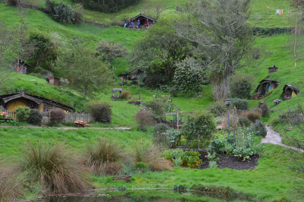 Tour Options at Hobbiton Matamata