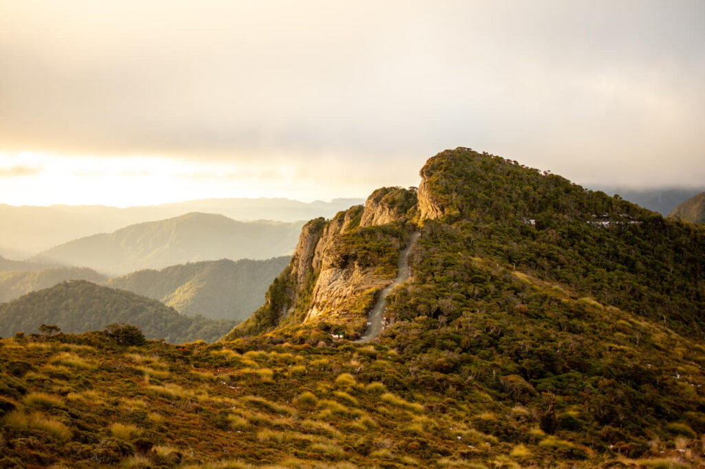Paparoa National Park