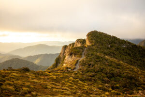 Paparoa National Park