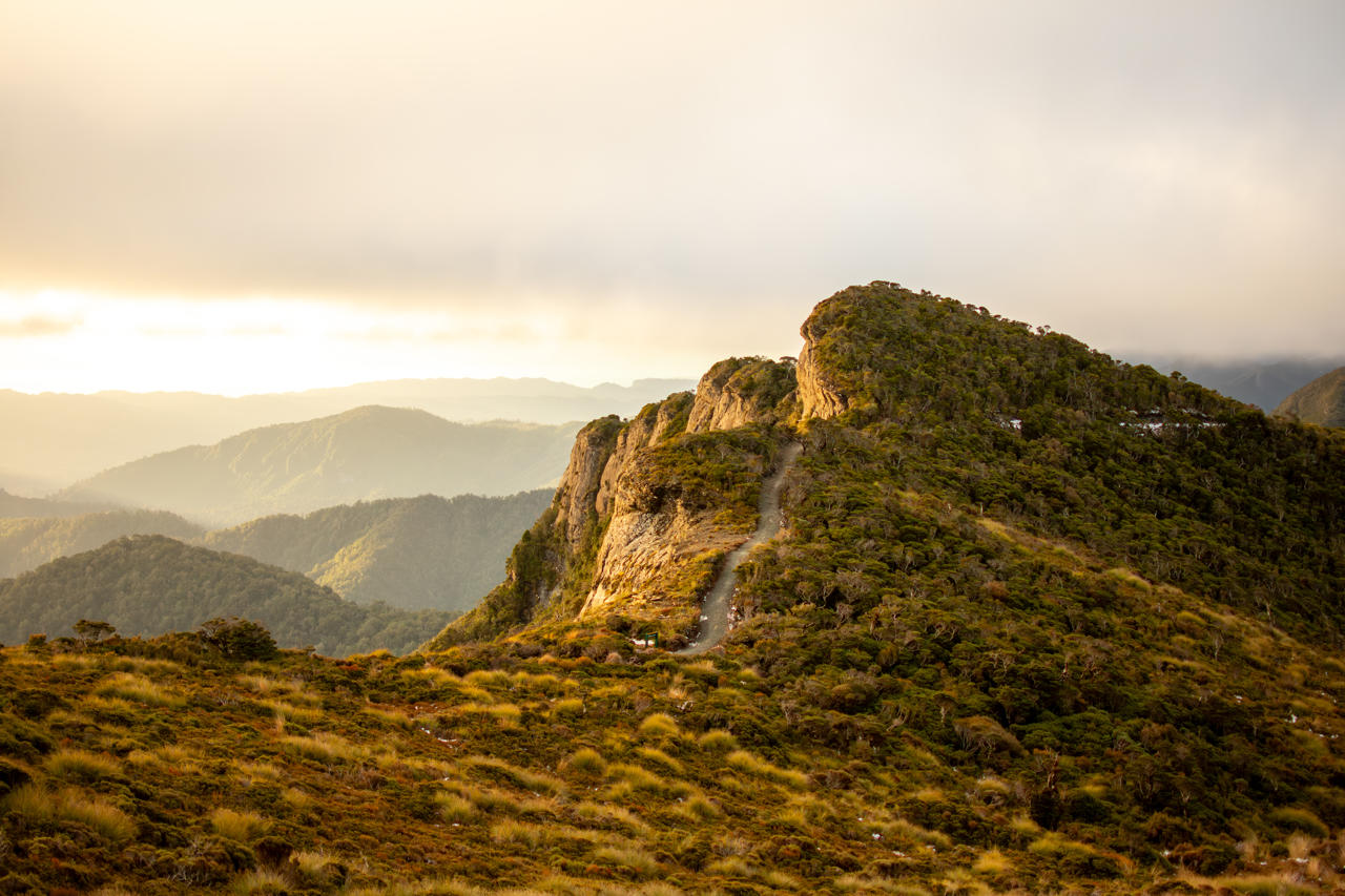 Paparoa National Park