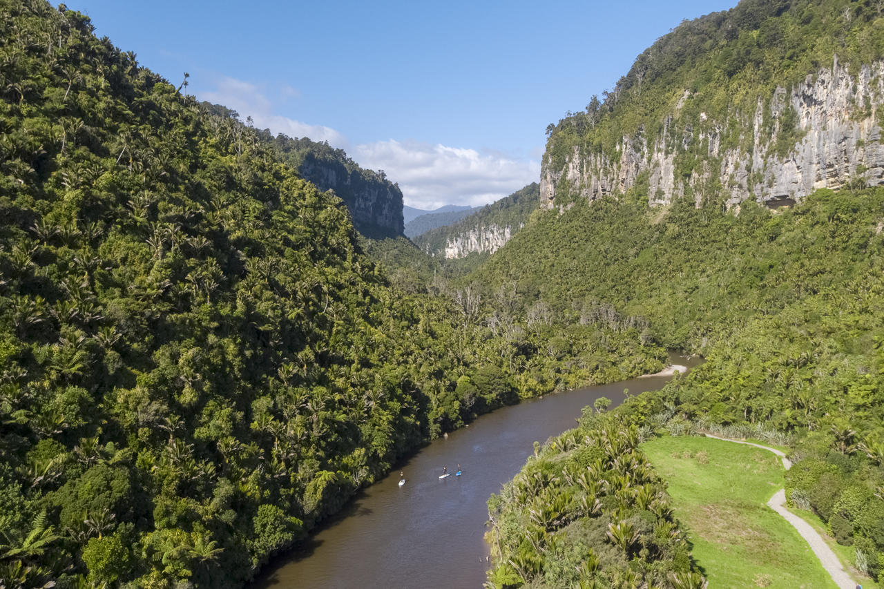 What to Expect in Punakaiki