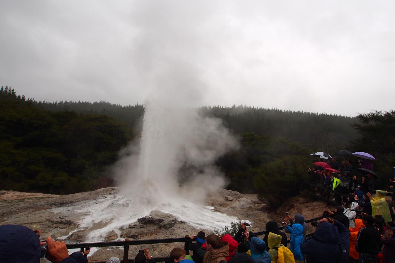 Rotorua Lady Knox Geyser
