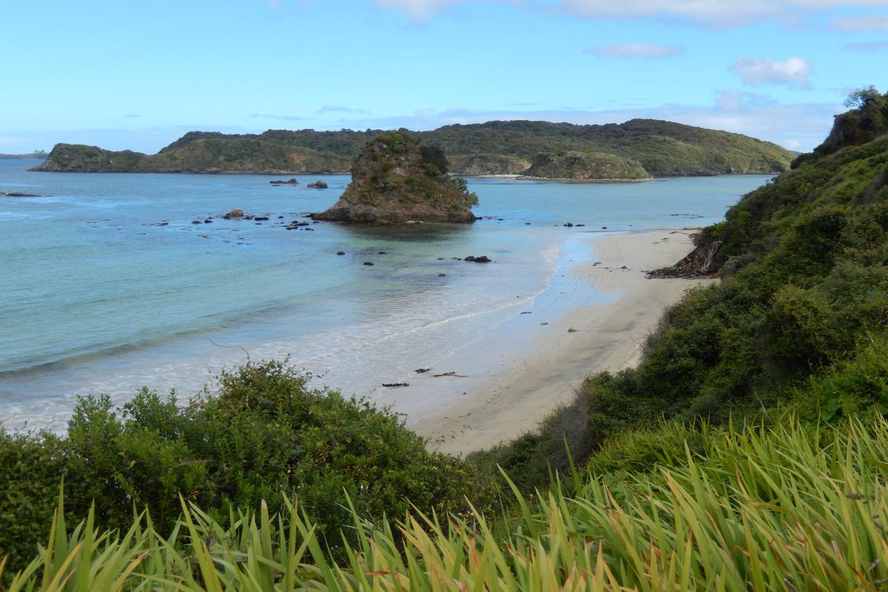 Stewart Island Ringaringa Beach and Native Island