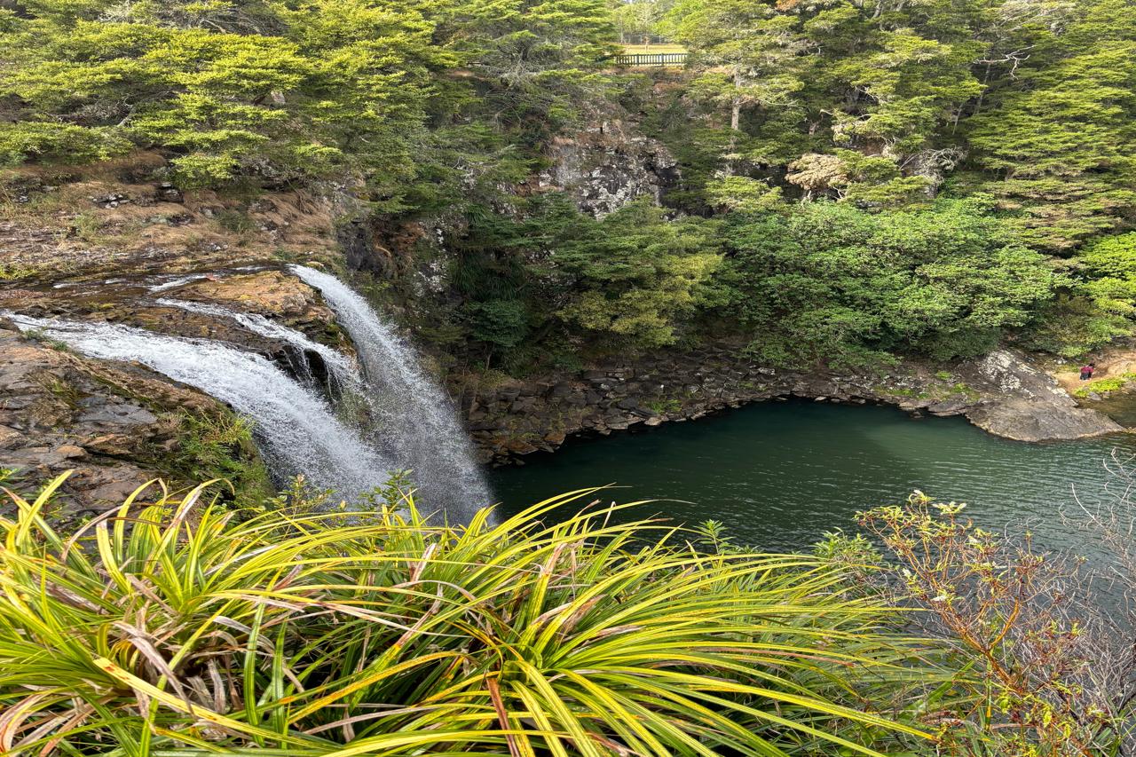 The Kerikeri River Track