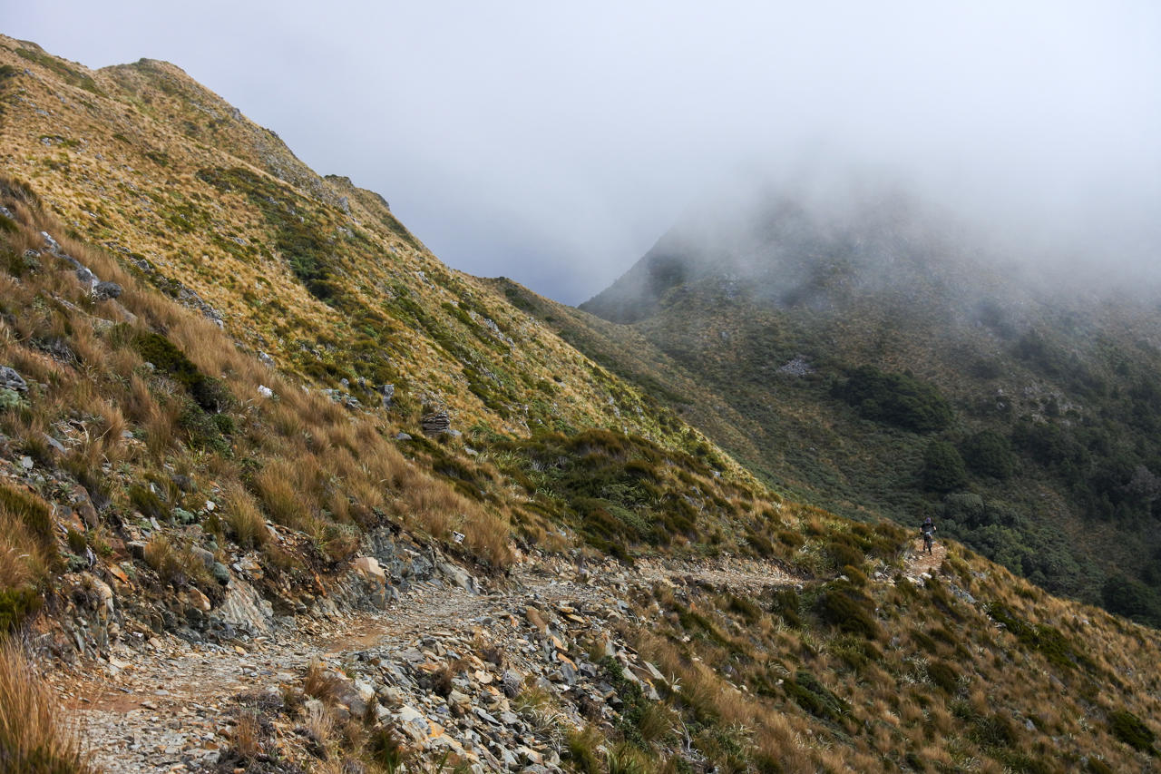 The Paparoa Track New Zealand