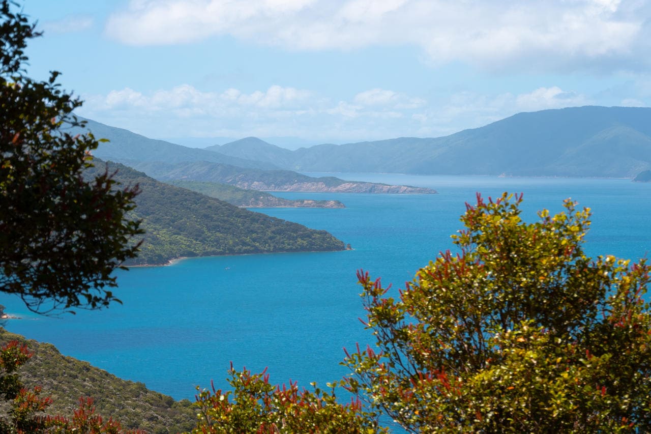The Queen Charlotte Track Overview 