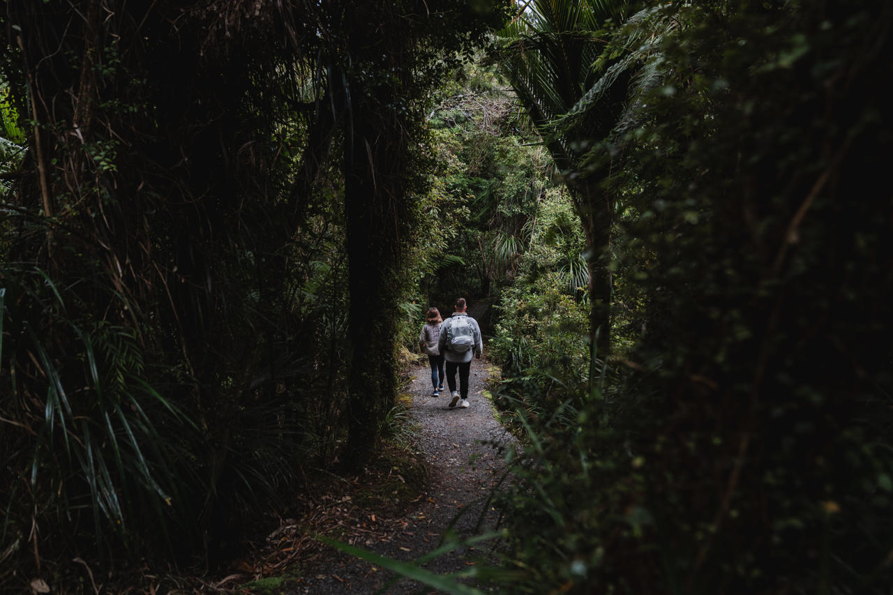 Truman Track, Punakaiki, West 