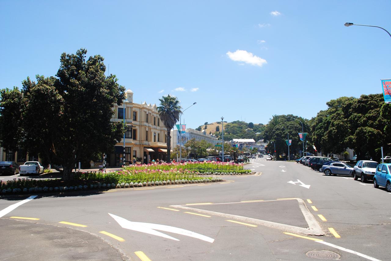 Sunny summer landscape in New Zealand during January