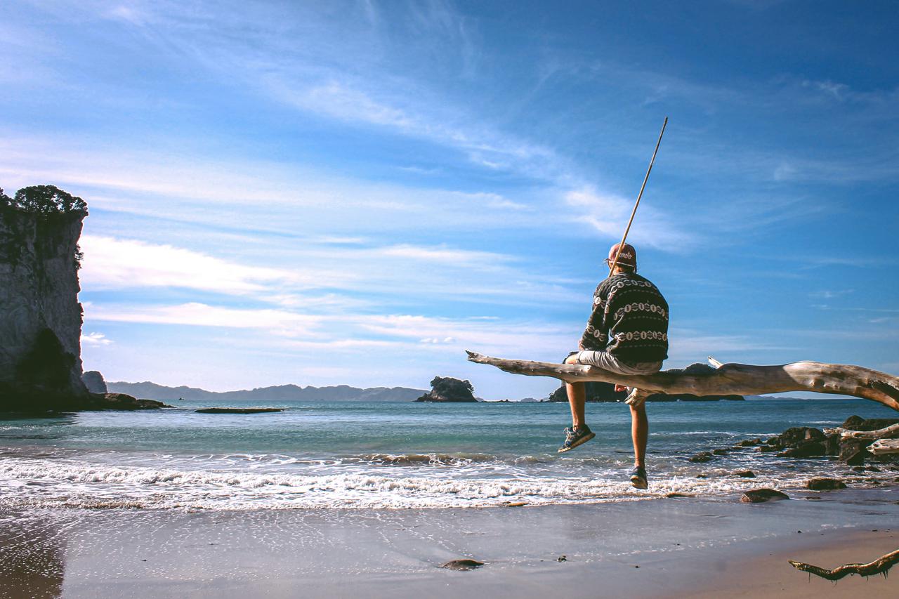 What to Expect in Cathedral cove coastal walk