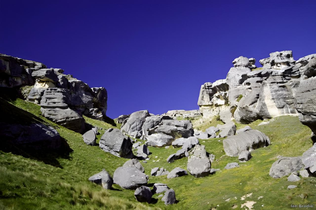 Flock Hill Narnia Filming Location
