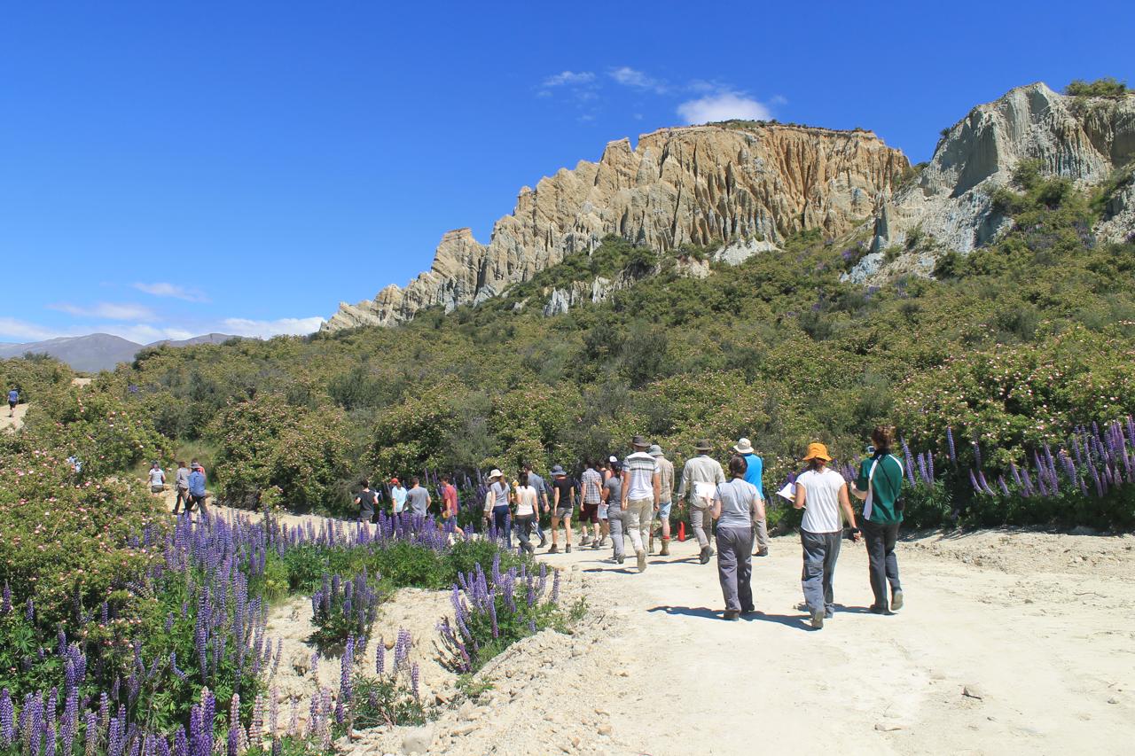 Clay Cliffs