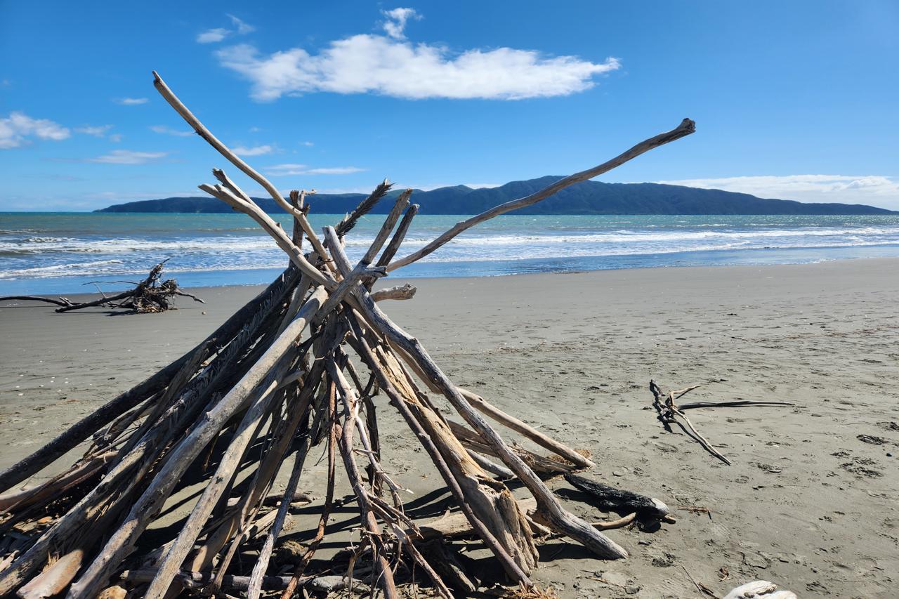 Driftwood fort, Kapiti Island