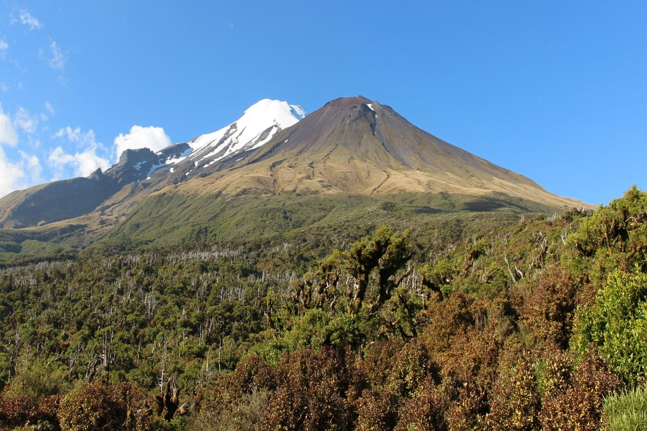 Egmont National Park, New Zealand