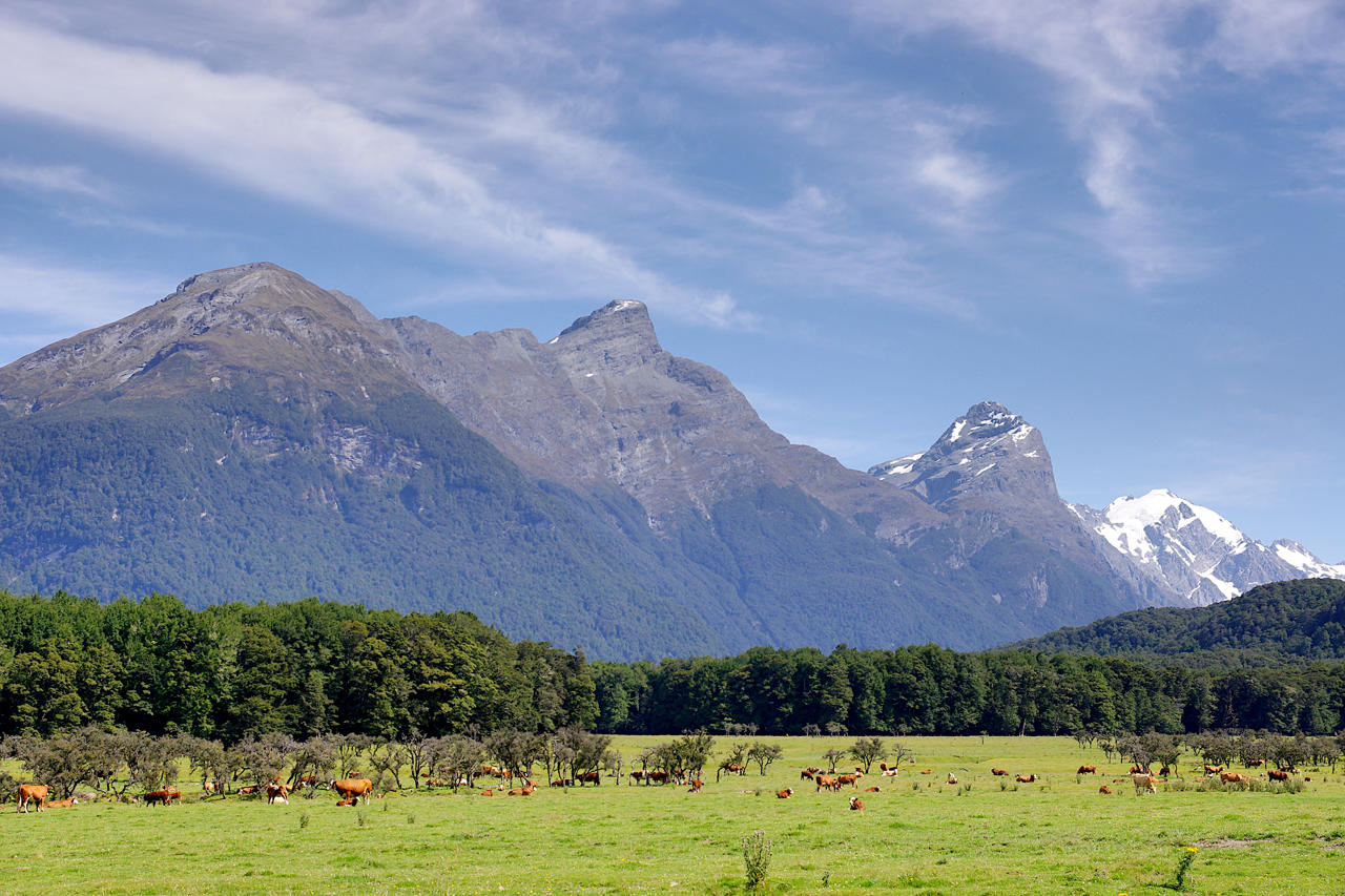 Glenorchy Paradise Road