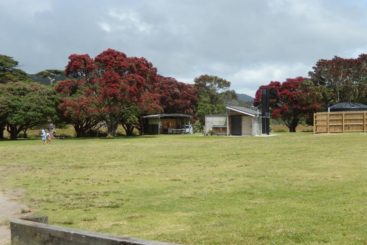 Medlands Beach Campsite