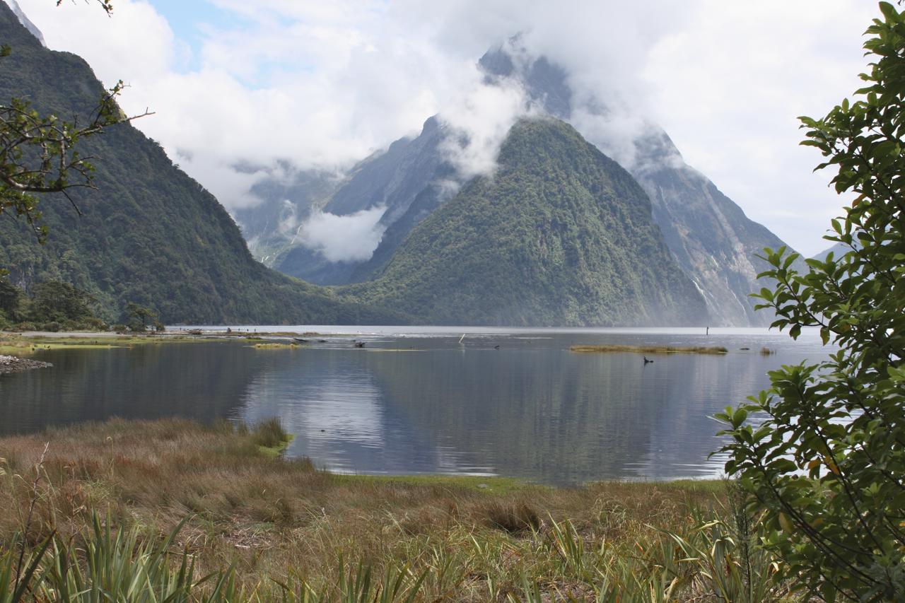 Milford Sound and_Sinbad Gully