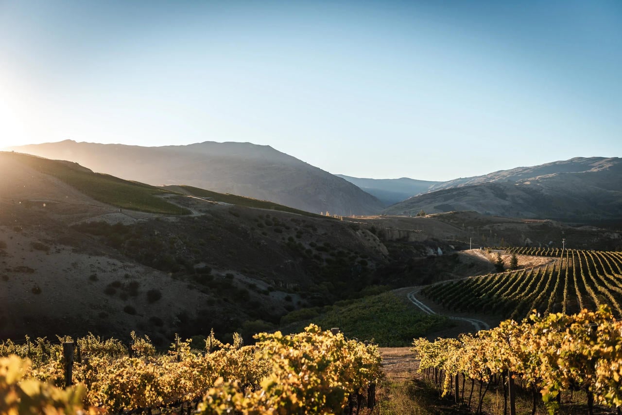 Mt Difficulty Vineyard wine tasting