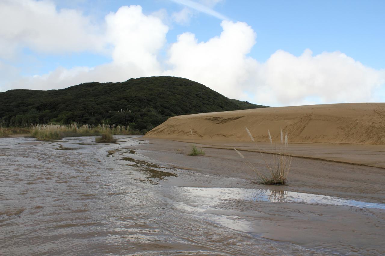 Ninety mile beach entrance 7