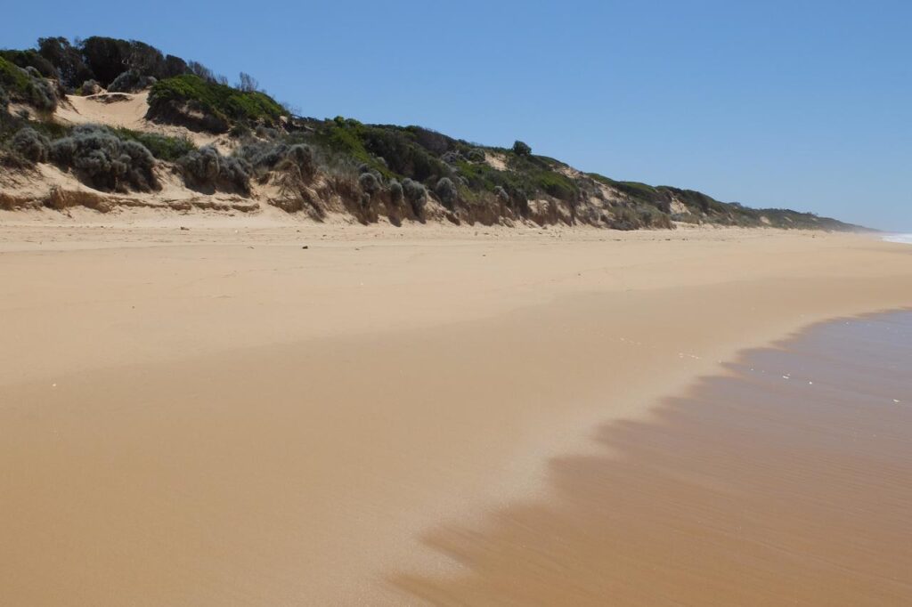Ninety Mile Beach Northland - Paradise Beach