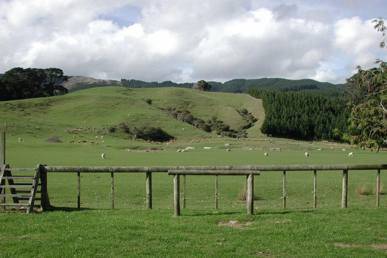 Paddocks In Battle Hill Farm