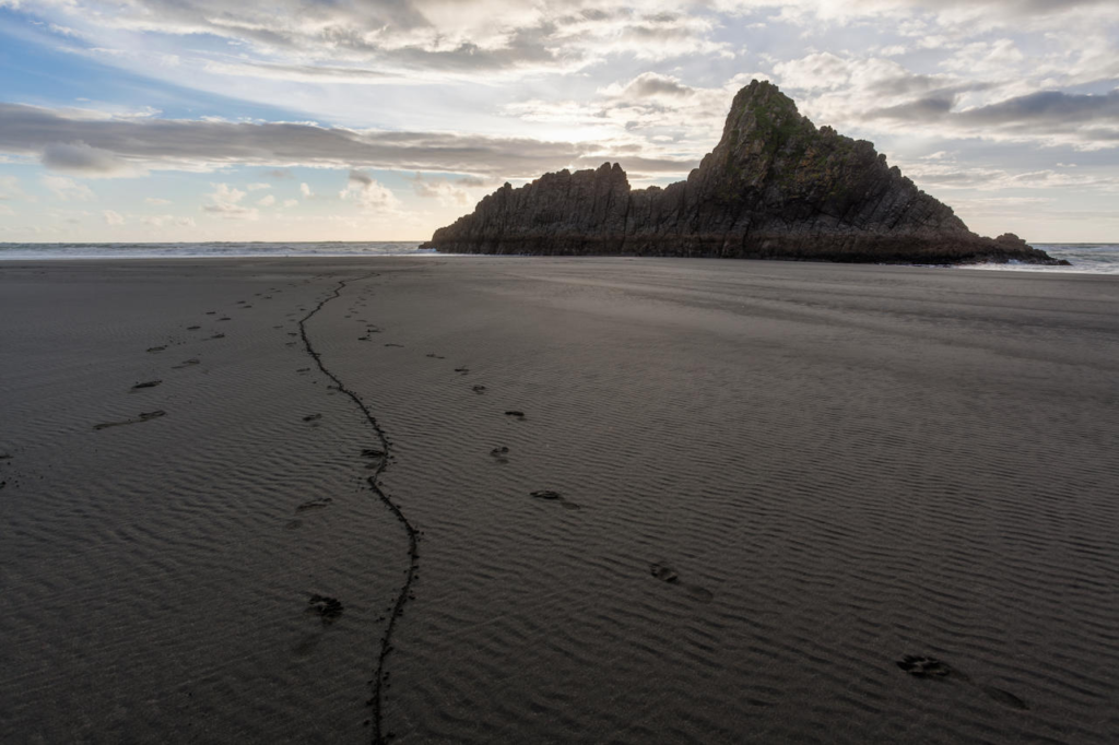 Panatahi Island, Karekare Beach, where was The Piano filmed