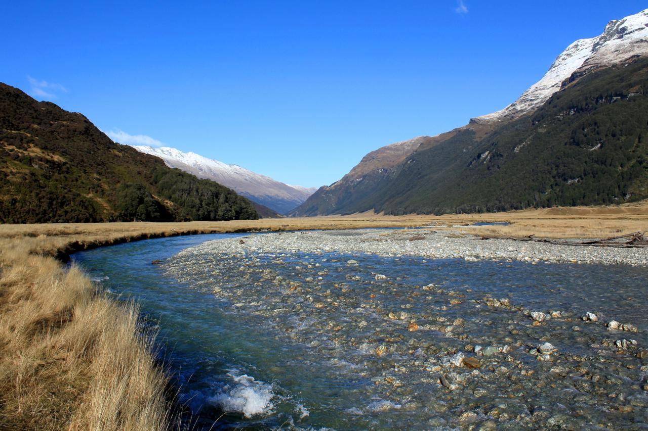 Rees River