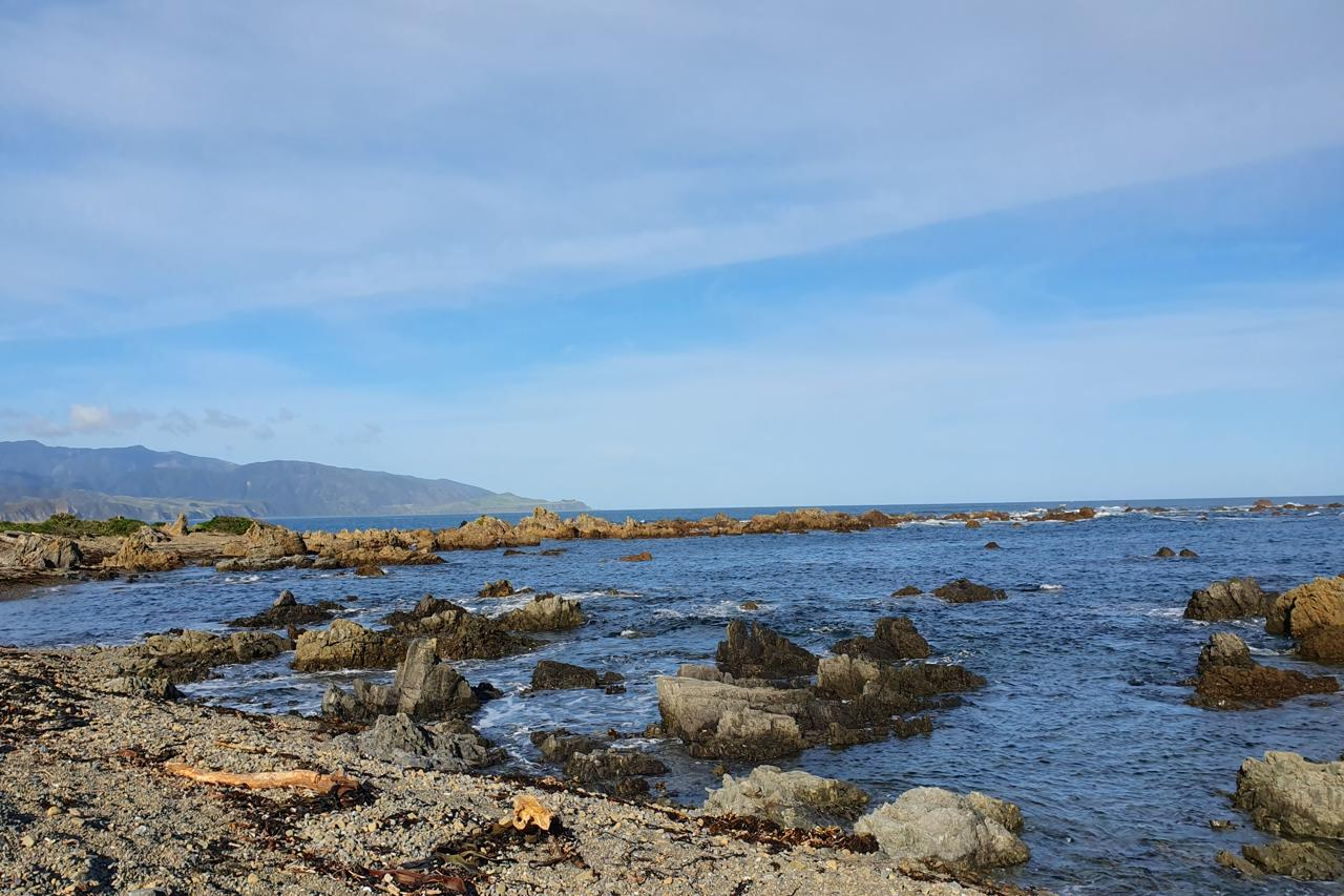 Te Raekaihau
