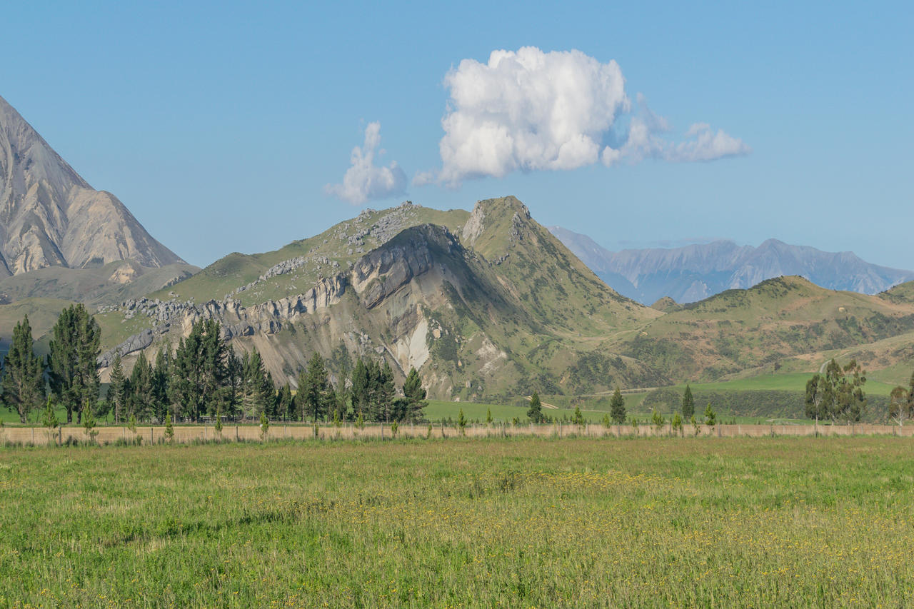 Torlesse Range