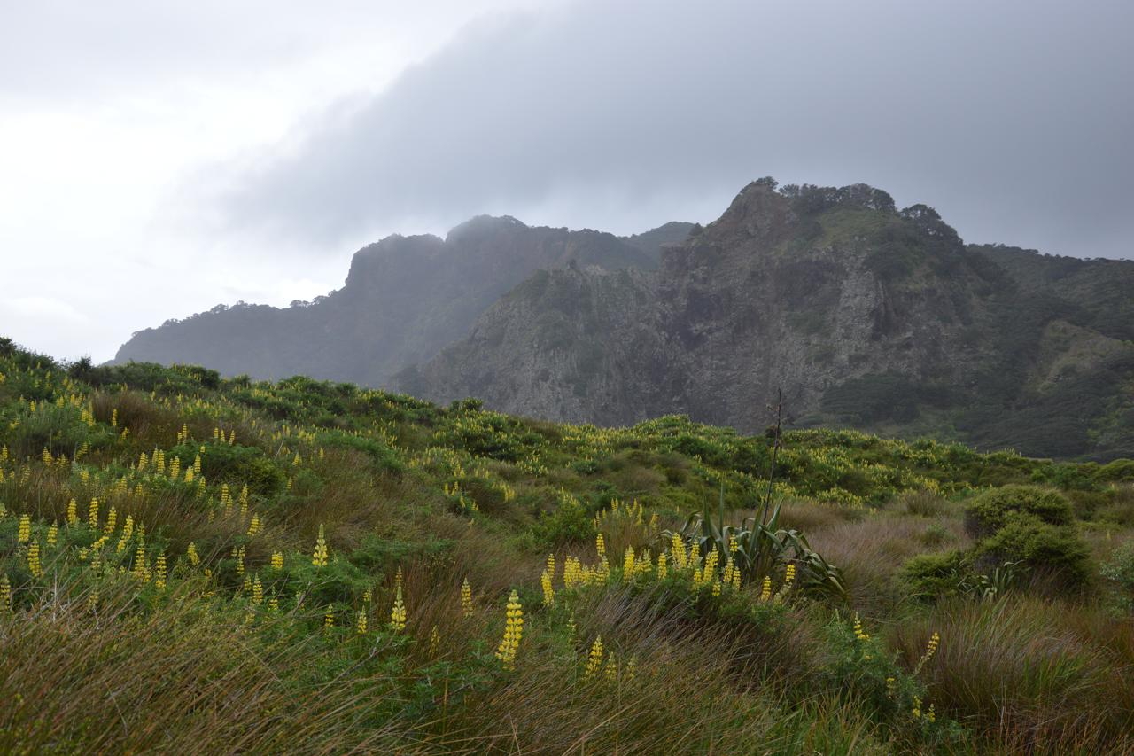 Waitakere Ranges, Karekare Beach