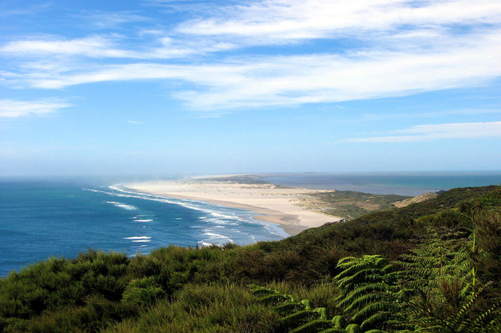 Farewell Spit from Pillar Point