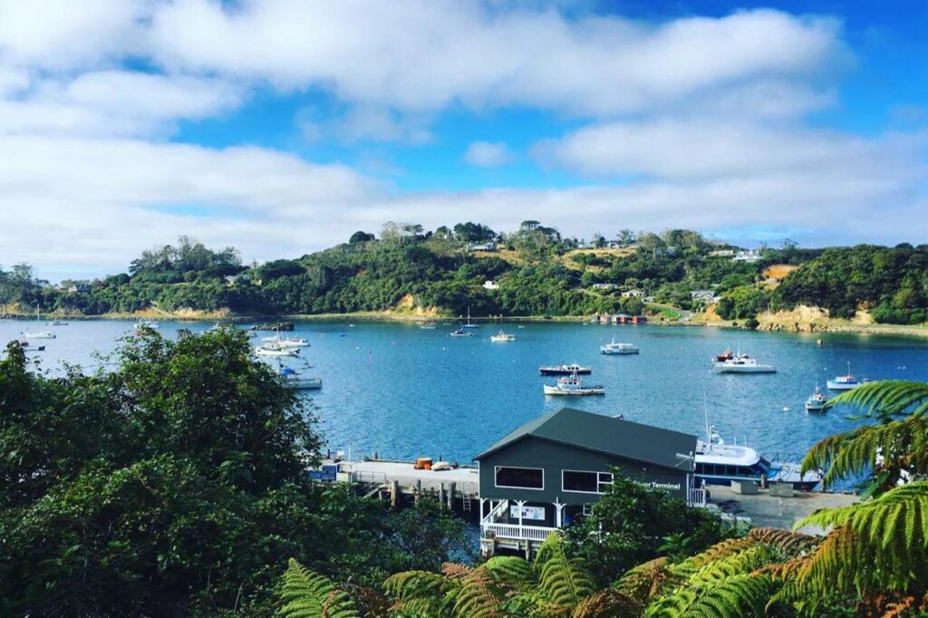 Halfmoon bay southland new zealand