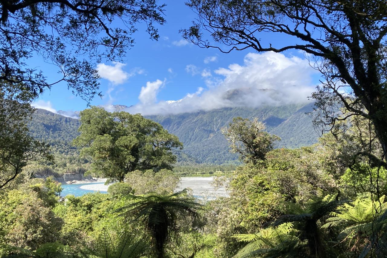 Hokitika Gorge Walk
