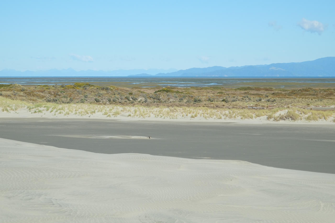 Inter-tidal zone on the south side of Farewell Spit