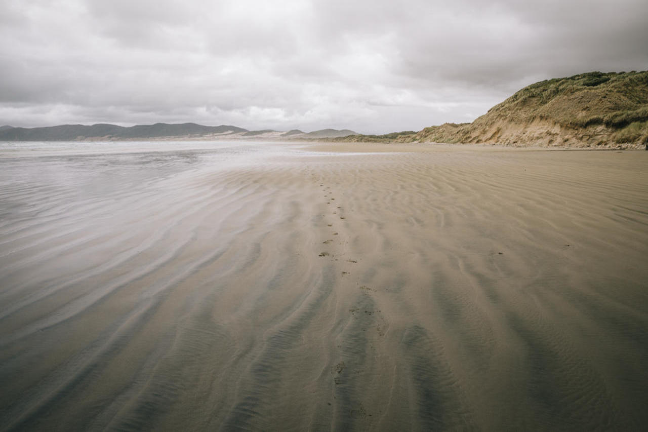 Mason Bay Southland New Nealand
