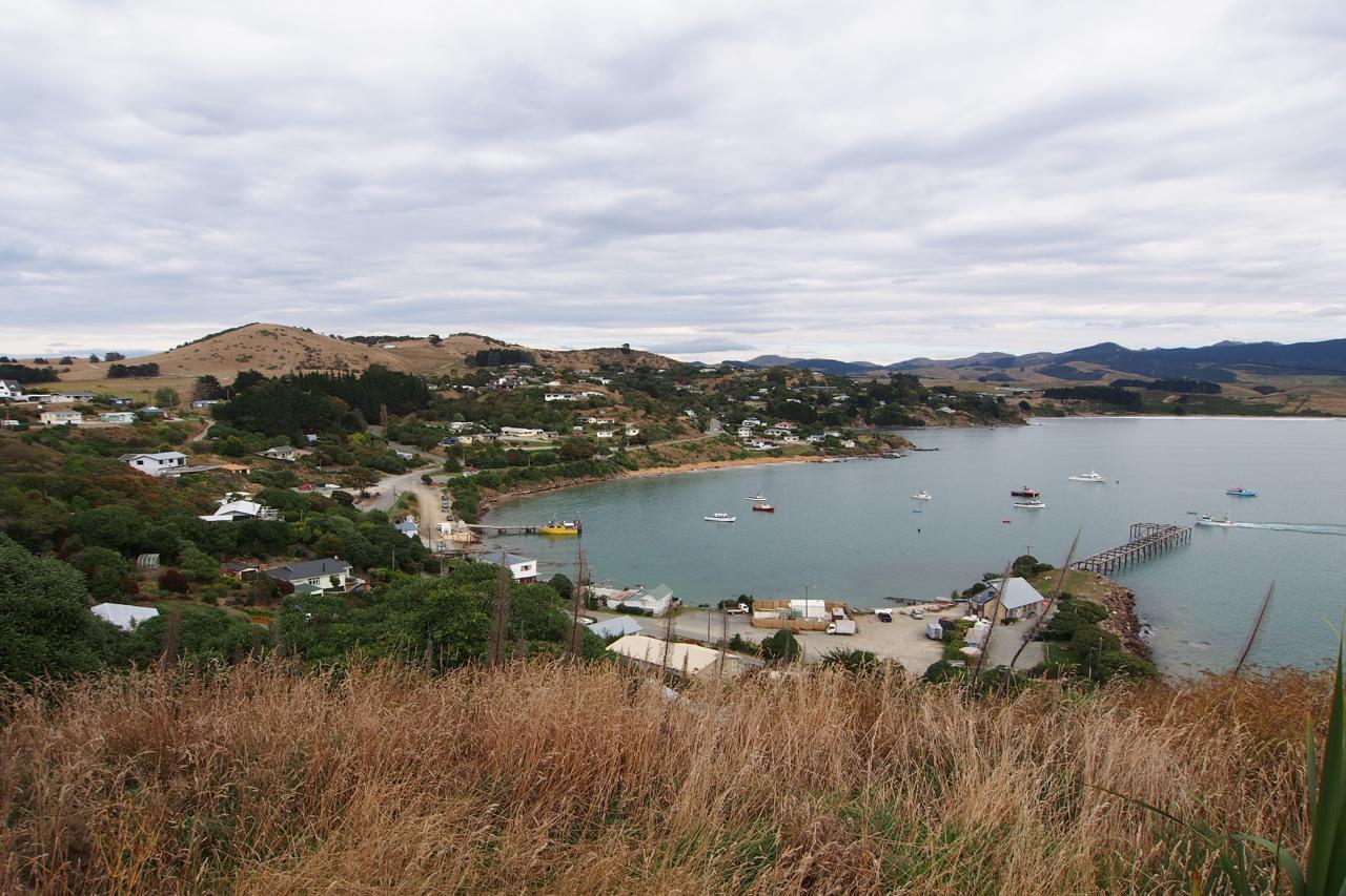 Moeraki Village Overlook