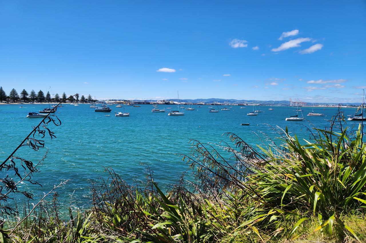 Pilot Bay Tauranga