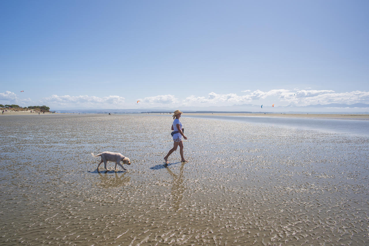 Tahunanui beach