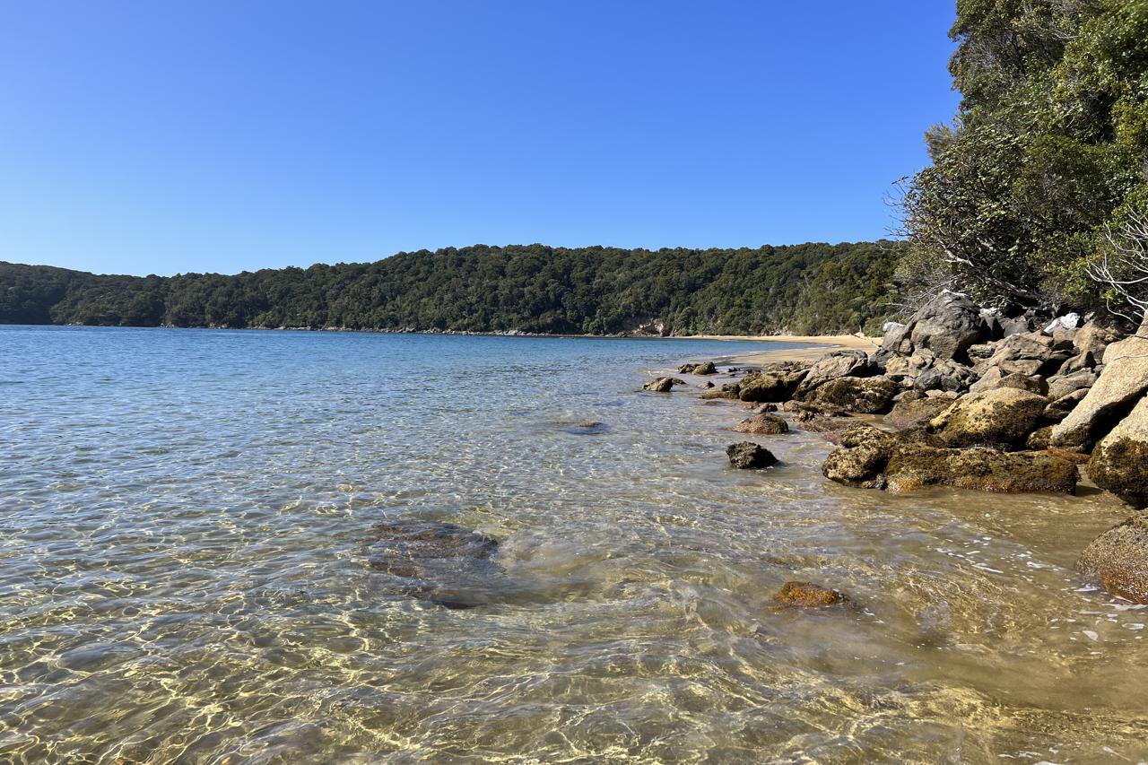 Ulva Island Southland New Zealand