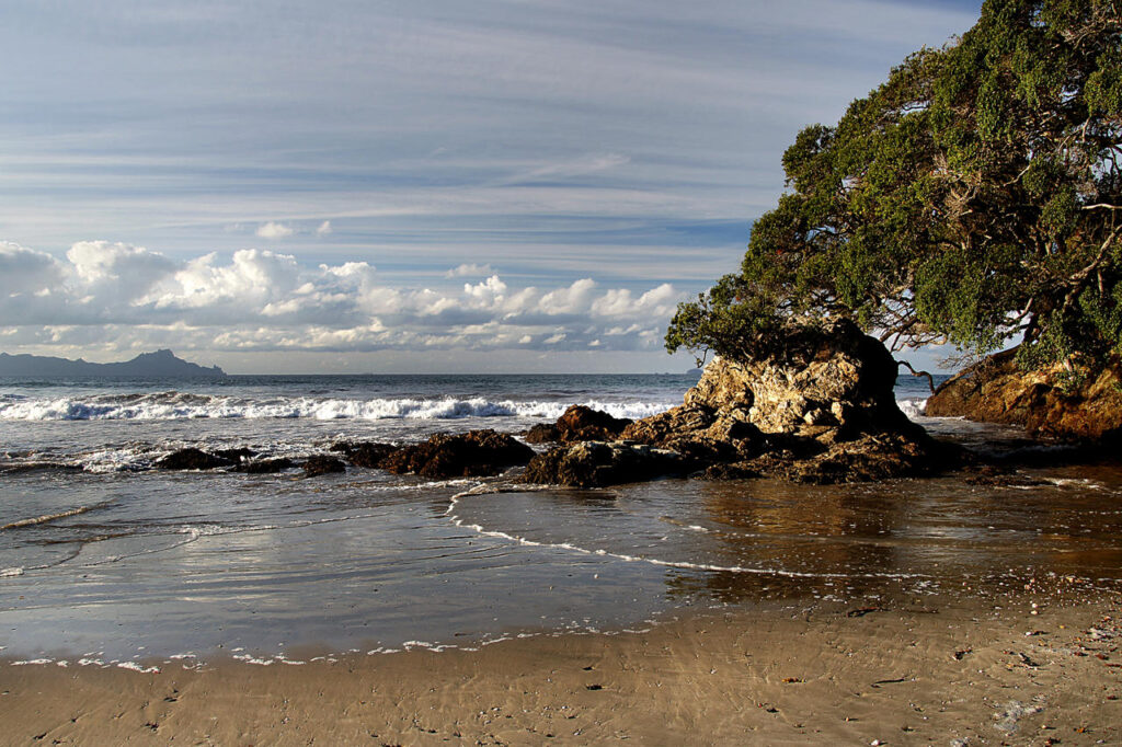Waipu Cove, Northland NZ