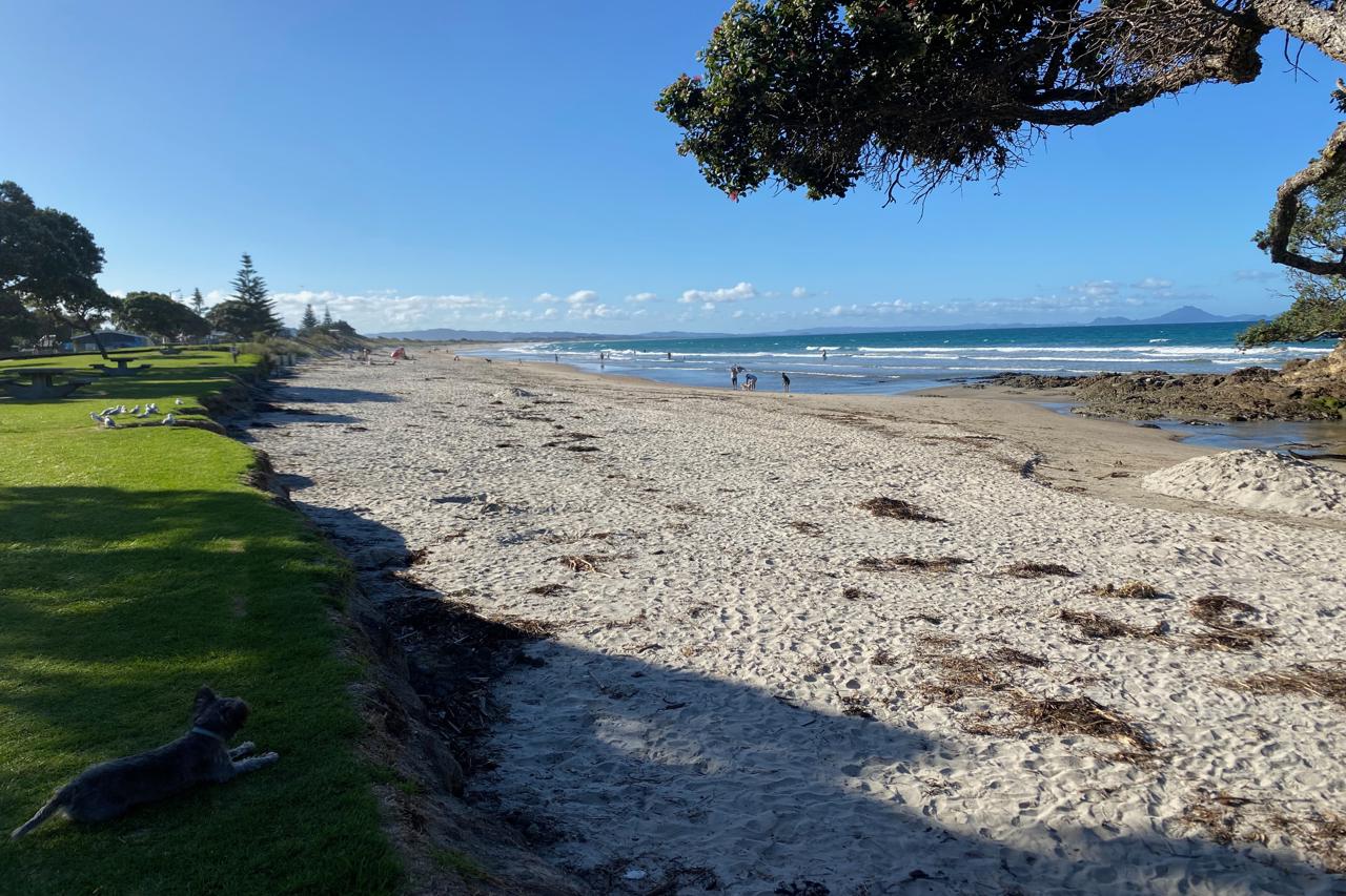 Waipu beach