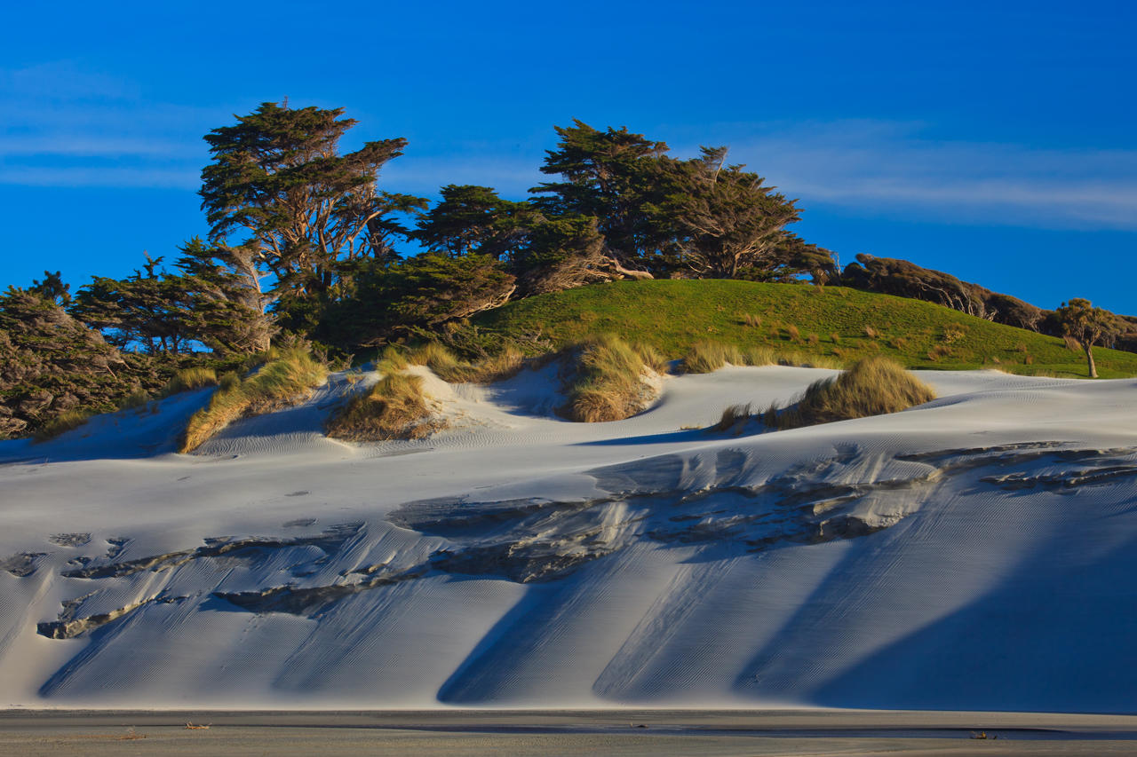Wharariki Beach area
