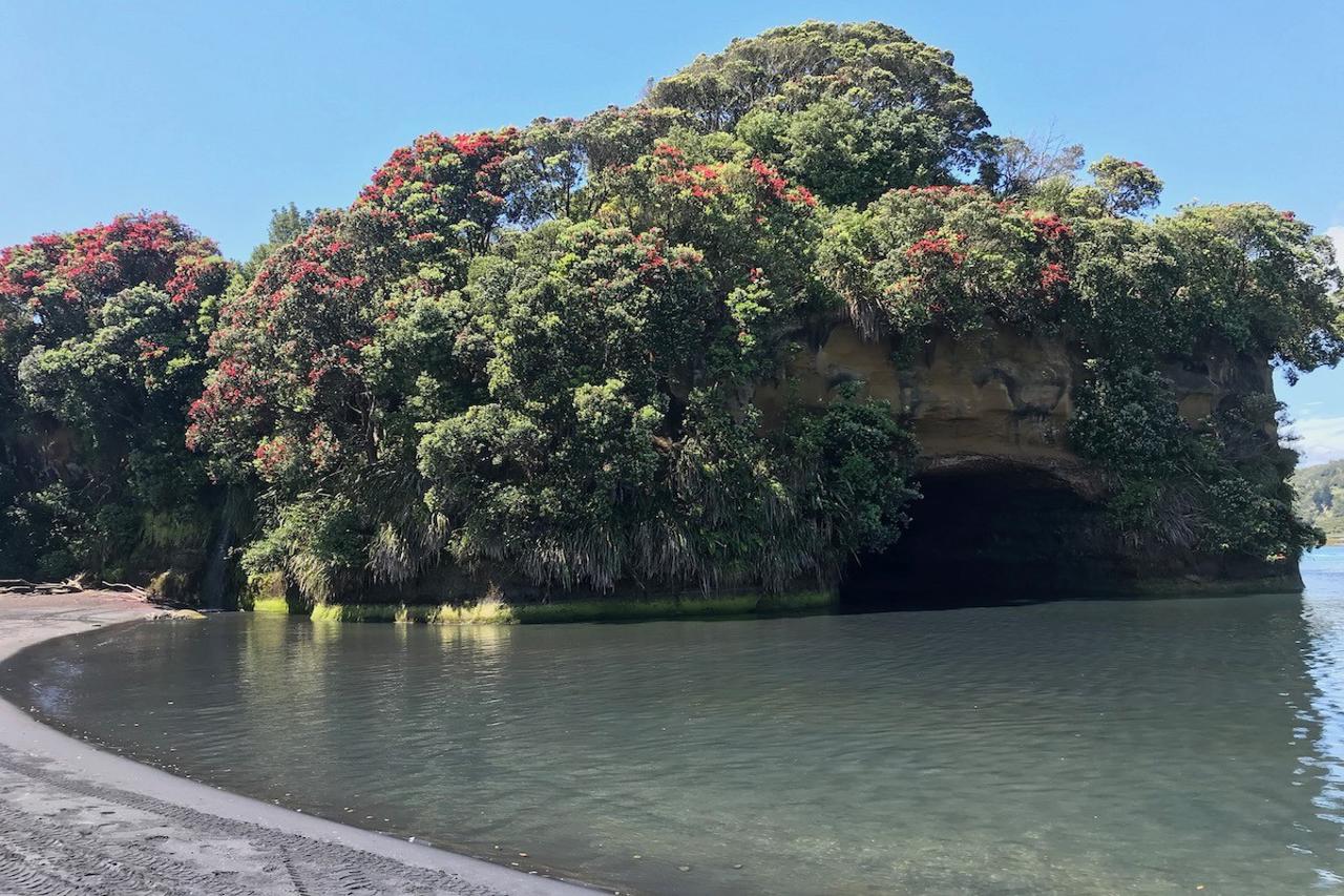 Butters Cave New Zealand