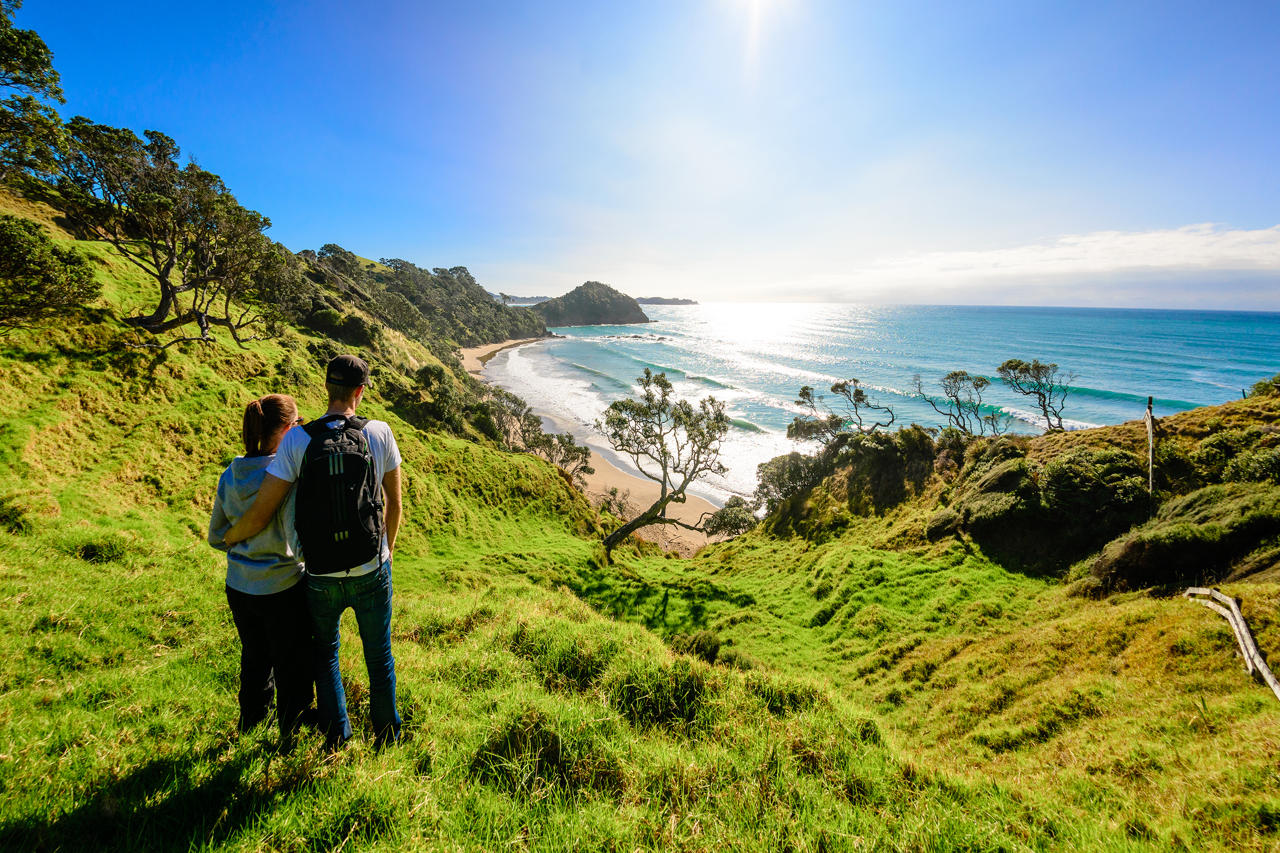 Daisy Bay, Tutukaka Coast