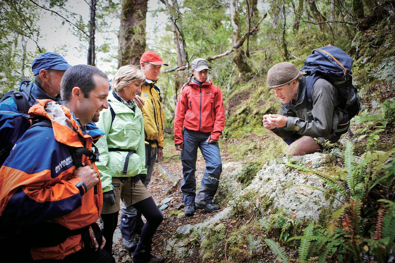 Hollyford track experience 3
