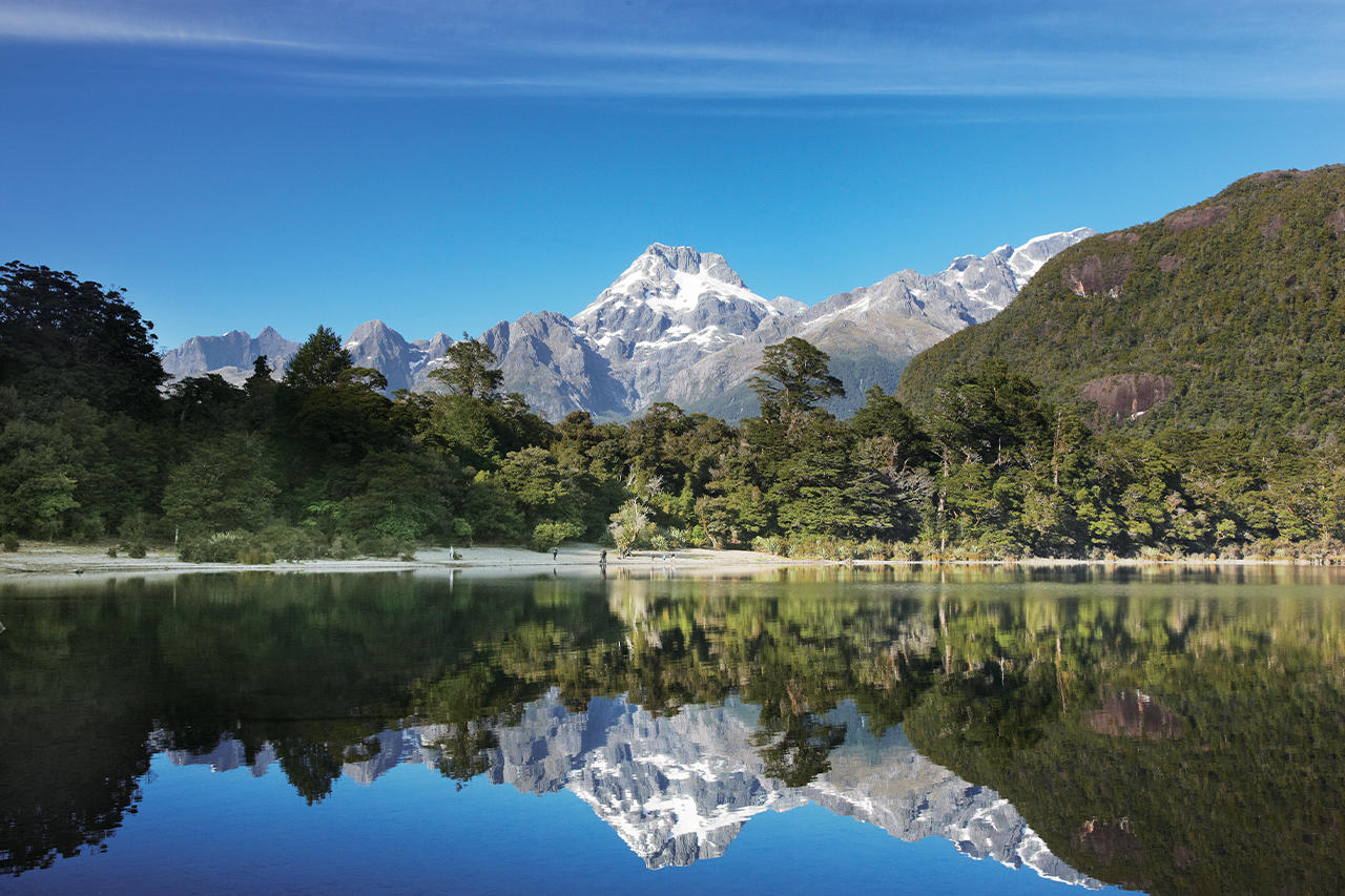 Hollyford track experience 5