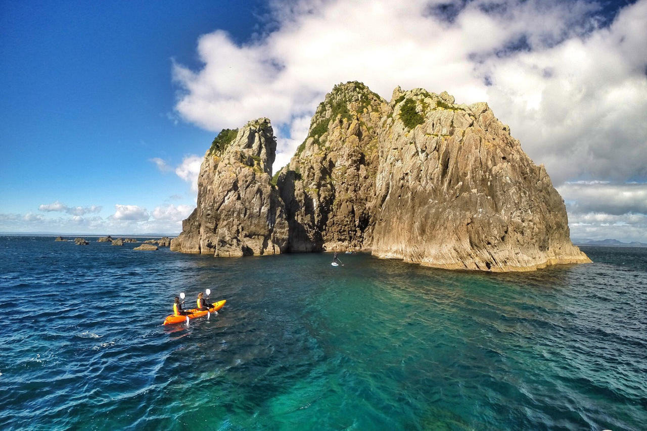 18 Day New Zealand Tour for Solo Travelers: Far North & South