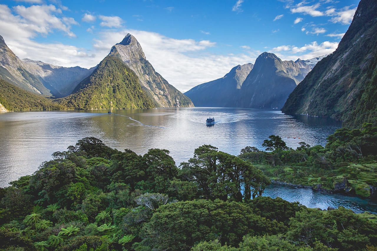 Milford sound cruise