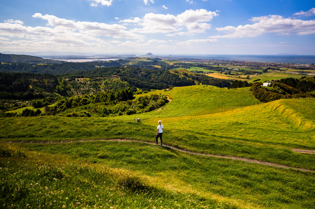 Pāpāmoa Hills Cultural Heritage Regional Park 