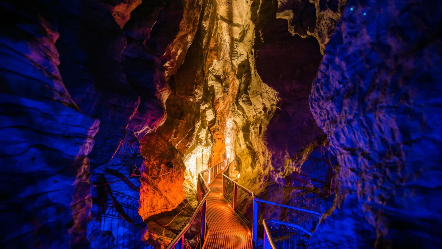 Ruakuri Cave, Waitomo, Photo Credit: Tourism New Zealand